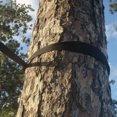 thumbnail image 3 of Sangles d'Arbre pour Hamac Écologiques (Lot de 2), 3 of 5
