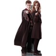 thumbnail image 1 of Advanced Graphics 20 Harry Potter And Hermione Granger Life-Size Cardboard Stand-Up, 1 of 4