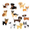 thumbnail image 4 of Animals Sewing Kits Sew Your Own Felt Animals DIY Crafts for Beginner Dog, 4 of 8