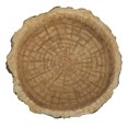 thumbnail image 2 of Synthetic Water Dish, Reptile Feeder, Food Bowl  Shape For Tortoise, 2 of 8