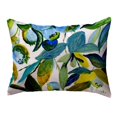 thumbnail image 1 of Betsydrake KS1158 11 x 14 Po Betsys Bleuets Sans Coussin de Cordon - Petit, 1 of 1