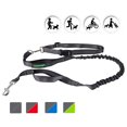 thumbnail image 1 of Jespet Hands-free Bungee Leash, 1 of 7