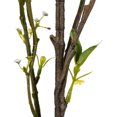 thumbnail image 3 of Vickerman FM180101 50 in. Green Mountain Prunus Stem, 3 of 5
