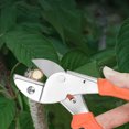thumbnail image 1 of Garden Scissors Trimming Scissors,Garden Snips and Pruners,Garden Shears Pruning Plants Shears,Plants Trimming Scissors(1PC), 1 of 8