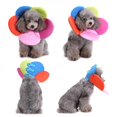 thumbnail image 4 of Pet Collar Cat Dog Flower Neck Collar Anti Bite Beauty Adjustable Protector Cover Ring Rose Red L, 4 of 6