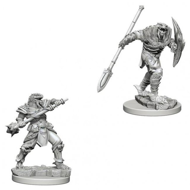 D&D NMU: Dragonborn Male Fight Spear W5