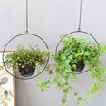 thumbnail image 4 of Trayknick Succulent Hanging Planter Creative Sturdy Iron Detachable Chain Flower Hanging Pot for Garden, 4 of 13