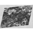 thumbnail image 1 of Ahgly Company Machine Washable Indoor Rectangle Transitional Silver Gray Area Rugs, 2' x 3', 1 of 7