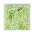 thumbnail image 1 of Relayinert 1 Pack Lafite Paper Raffia Filler Colorful Shredded Box Packaging Decoration Practical Wedding Party Easter New Year Light green, 1 of 7