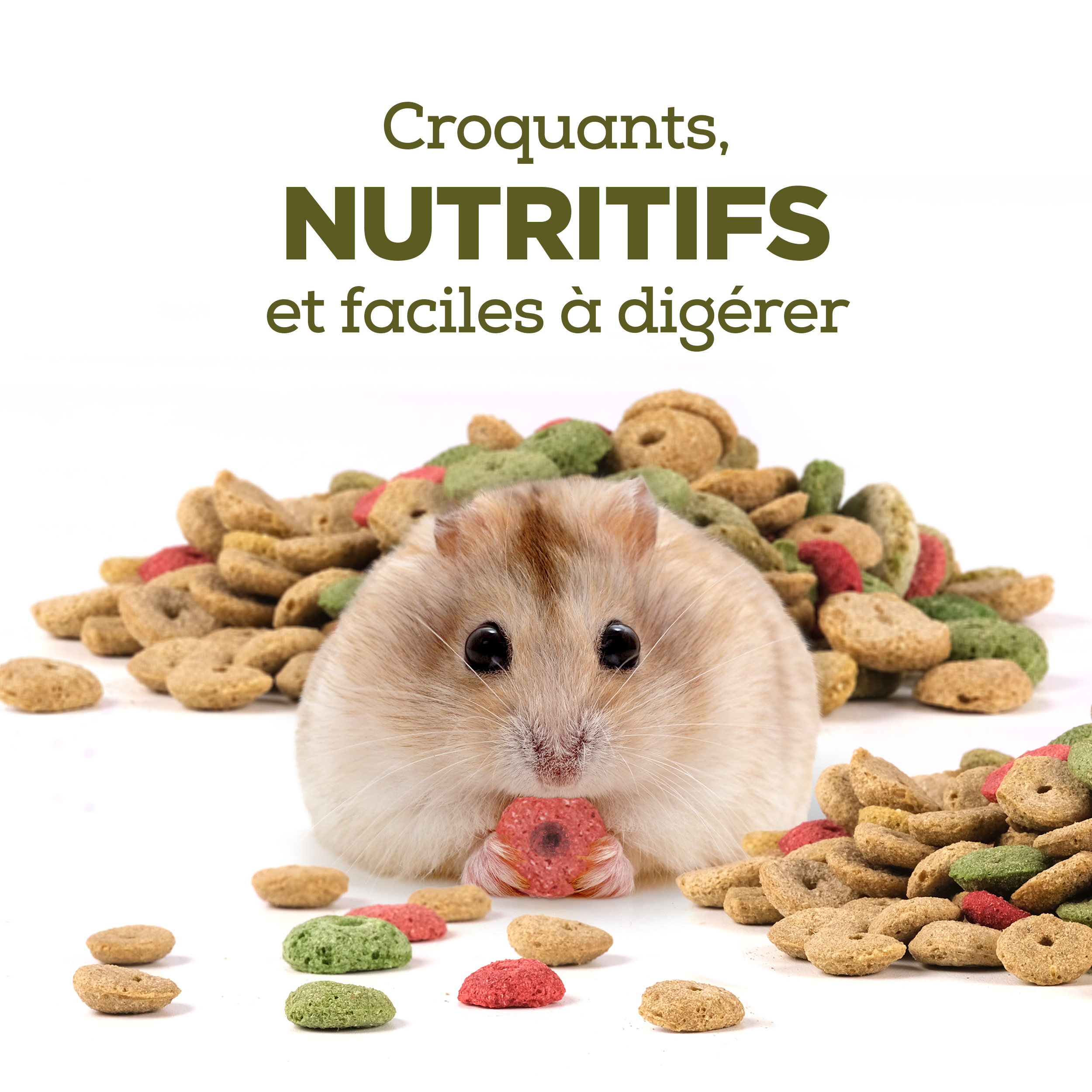 Kit de démarrage pour cage à hamster et literie Living World Deluxe - 46 cm L X 29 cm L X 37 cm H (18 po x 11,4 po x 14,5 po)