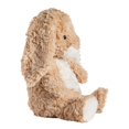 thumbnail image 2 of Mary Meyer - Recycled Again Friends - Hugo Bunny 11", 2 of 3