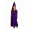 thumbnail image 1 of RG Costumes 91066-V-S Small Medieval Princess Costume - Purple, 1 of 1