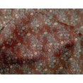 thumbnail image 4 of oneOone Silk Tabby Fabric Leaves & Floral Block Print Fabric By Yard 42 Inch Wide, 4 of 5