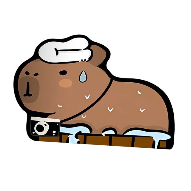 Siruishop Capybara Bath Rug Anti Slip Bath Mat Bath Tub Floor Carpet Corner Shower Mat A