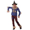 thumbnail image 1 of Patchwork Scarecrow Costume for Adults, 1 of 6