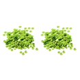 thumbnail image 3 of maskred Vibrant 400 Pieces Round Cupped Loose Sequins Sewing Embellishment 7mm Green 2Set, 3 of 6