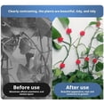 thumbnail image 4 of Plant Climbing Wall Clips, 2025 New Plant Climbing Wall Fixture Clips with Self-Adhesive Wire Fixing Vine, Plant Support Clips for Indoor Home Garden Decor, 4 of 7