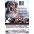thumbnail image 2 of BUENA VISTA HOME VIDEO CALL OF THE WILD (DVD) D159501D, 2 of 2