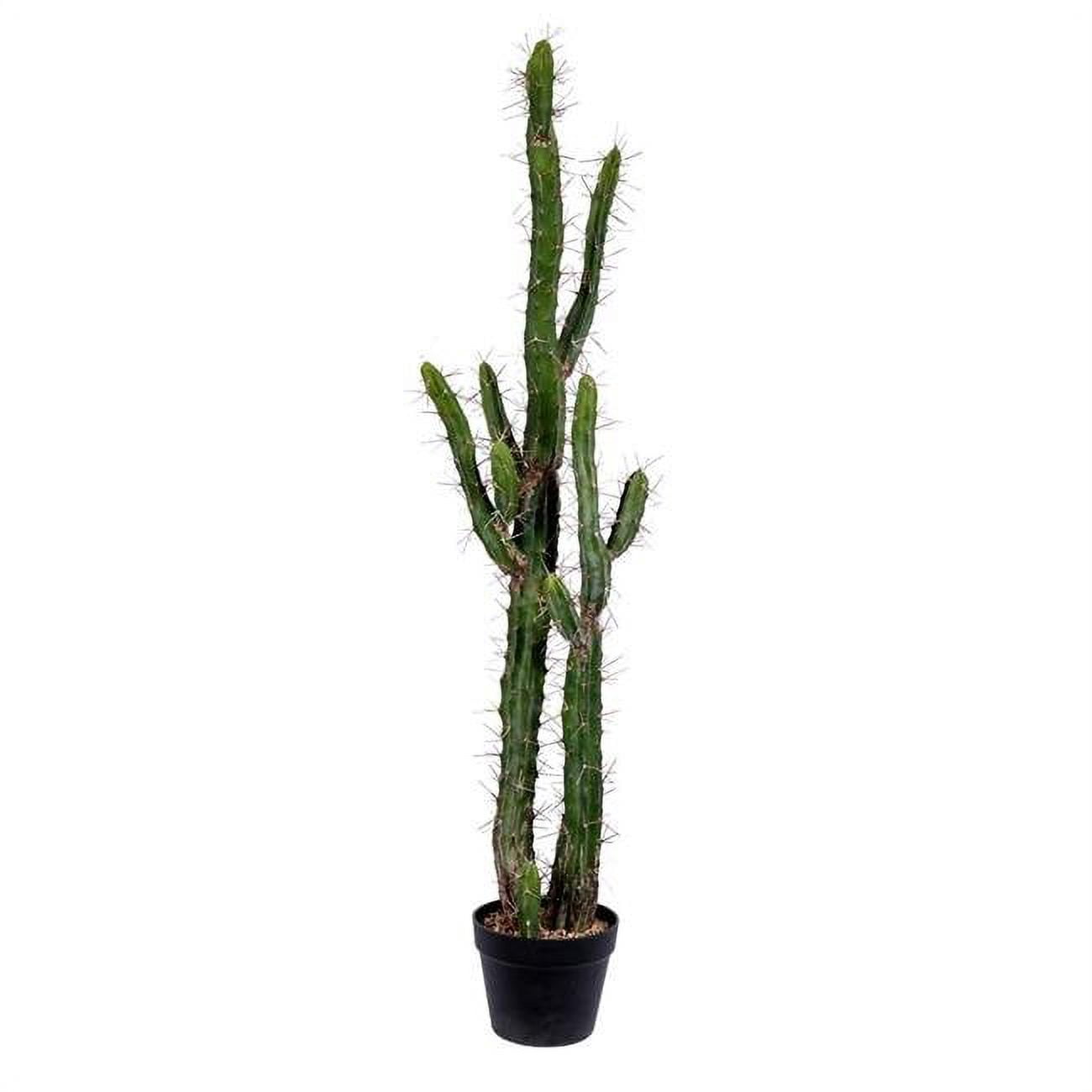 Vickerman FE191146 Pot de Plante en Plastique pour Cactus en Pot Vert de 46 Po