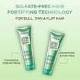thumbnail image 2 of EverPure Revitalisant Épaississant, Sans Sulfates, 2 of 7
