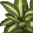thumbnail image 2 of Nearly Natural 8051 Dieffenbachia Artificial Plant in Ceramic Planter, 2 of 3