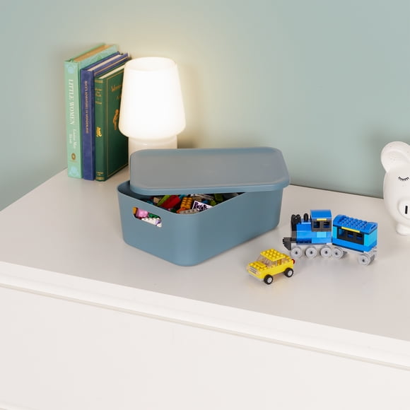 Neatfreak Kids Petit boîte de rangement avec couvercle, Plastique