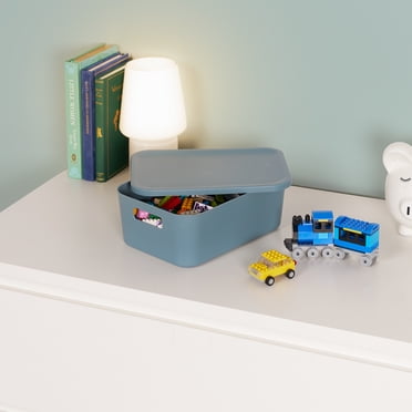 Neatfreak Kids Petit boîte de rangement avec couvercle, Plastique
