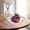 Blanc, variante sur Tranfacy Maison et Cuisine, Ensembles d'Assiettes et de Bols, Plateau à Fruits Salon Ménage Grande Valeur Table à Thé Style Plateau à Fruits Collations de Haute Qualité Plateau à Bonbons Plateau de Fruits Secs