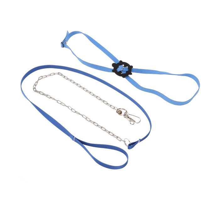 Harness Leash, Durable Polyester Adjustable Convenient Tortoise Harness Leash For Reptile For Outdoor Yellow,Blue,Black