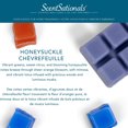 thumbnail image 4 of Cubes de cire parfumée ScentSationals - Chèvrefeuille, 4 of 4