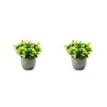 thumbnail image 2 of Redempat Plastic Easy To Clean Artificial Succulent Realistic Appearance Long-lasting Durability Eco-friendly newyellowbabysbreath 2Set, 2 of 6