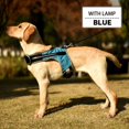 thumbnail image 2 of New K-shaped Luminous LED Harness For Pet Dog Chest Harness For Medium And Large Dogs Night Travel, 2 of 8
