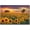 sunflower field, variant on Nature Mountain Canvas Wall Art Purple Lupine Landscape Print Pictures Flowers Scenery Painting Poster Natural Grassland Photograph Artwork for Bedroom Living Room Kitchen Home Decorations 12x16"