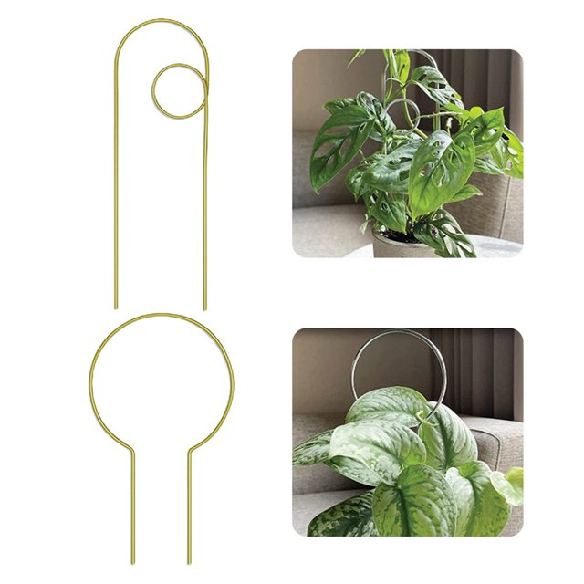 4 Pcs Support de Plantes Grimpantes Robuste Bonne Ventilation Métal Intérieur Extérieur Support de Fleurs Usage Quotidien