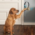 thumbnail image 2 of Dog Training Hanging Doorbell for Potty Communication and Behavior Supplies, 2 of 4