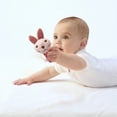 thumbnail image 3 of Plush Pet Dog Toy - Sound - Resistant, Anti - Bite, and Teeth - Grinding, 3 of 3