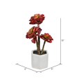 thumbnail image 3 of Vickerman FH191313 13 in. Red Potted Succulent, 3 of 3