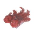 thumbnail image 1 of Set Of 2 Glitter Cardinal Clip (Red) - Set of 6, 1 of 4