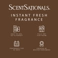 thumbnail image 3 of D'huile parfumée Scentsationals - Ambiance douillette, 3 of 6