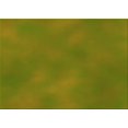 thumbnail image 1 of Ahgly Company Machine Washable Indoor Rectangle Transitional Olive Green Area Rugs, 7' x 10', 1 of 7