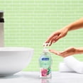 thumbnail image 3 of Softsoap Antibacterial Sensitive Liquid Hand Soap, 332 mL Bottle, 3 of 9