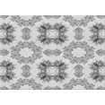 thumbnail image 1 of Ahgly Tapis Rectangulaire Lavable en Machine Intérieur Transitionnel Gris Canon, 3 Pieds x 5 Pieds, 1 of 7