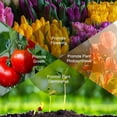 thumbnail image 3 of Amdohai Grow Light à DEL pour Plantes d'Intérieur DEL Rouges et Bleues Allumage et Arrêt Automatiques, 3 of 8