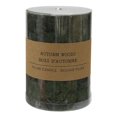 thumbnail image 1 of Autumn Woods scented pillar candle, 1 of 4