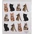 thumbnail image 2 of 2 Sheets - Cat KITTENS Stickers, 2 of 2