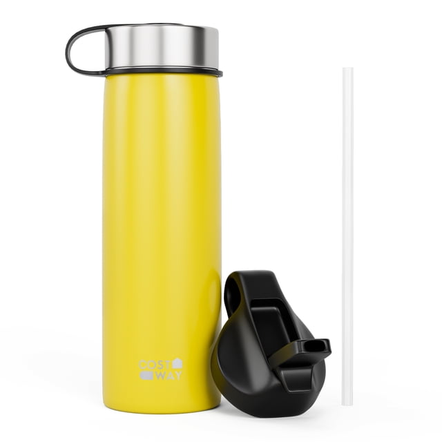Costway Bouteille d'Eau Isolée à Double Paroi 22 oz en Acier Inoxydable avec 2 Couvercles et Paille