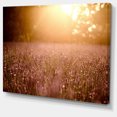 thumbnail image 2 of Marron Champ de Lavande Teinté Coucher de Soleil - Impression sur Toile Florale, 2 of 3