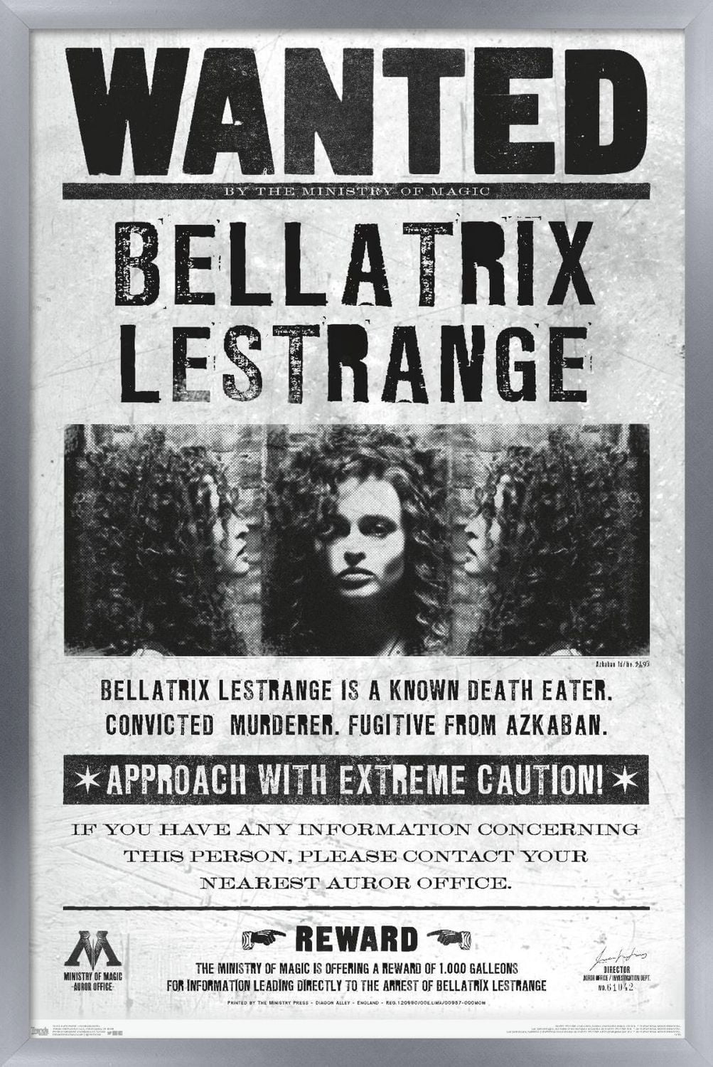 Le monde des sorciers: Harry Potter - Bellatrix Wanted Poster