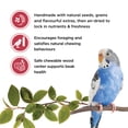 thumbnail image 2 of Living World Budgie Treat Sticks Fruit Melody 90 G, 2 of 7