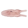 thumbnail image 1 of Nose Up Scraper, Facial Resin Nose Scraping Bar Lifting Clips Longicorn  For Women For Home Brown, 1 of 8